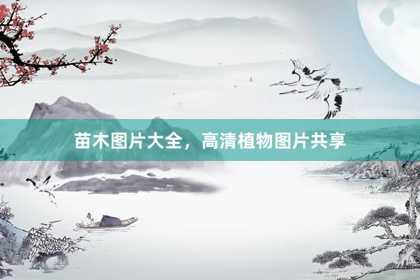 苗木图片大全，高清植物图片共享